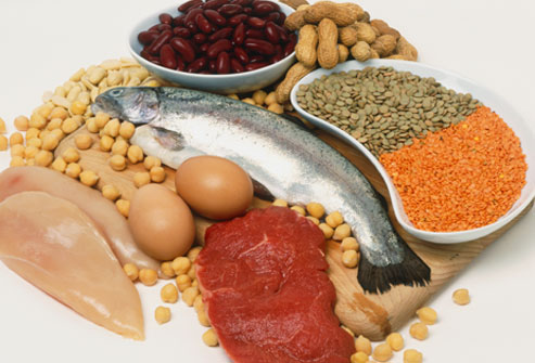 Protein - Your Questions Answered