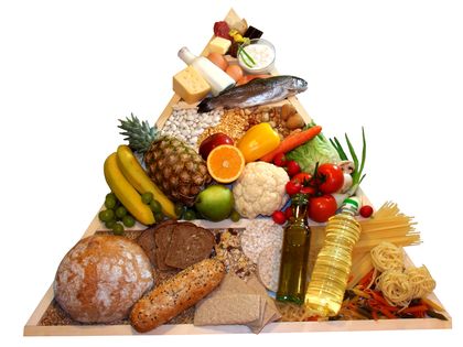 6 Essential Nutrients